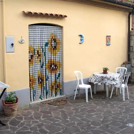 Modern Near Massa Marittima, Shared Pool