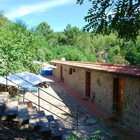 Modern Near Massa Marittima, Shared Pool