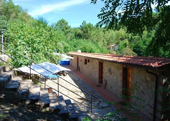 Modern Near Massa Marittima, Shared Pool